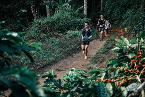 BIB: 
                            <button type="button" onclick="openModal(25835600)" class="btn btn-primary btn-sm float-right btn-popup" data-toggle="modal" data-target=".modal-high-quality">
                        <i class="fas fa-shopping-cart"></i> Add to Cart
                    </button>
                                            <button type="button" onclick="isThisMe(25835600, true)" class="btn btn-success btn-sm float-right btn-popup btn-isme hidden" data-toggle="tooltip" data-placement="bottom" title="นี่คือรูปของคุณใช่ไหม คลิกที่นี่เพื่อเอาเข้าอัลบั้ม">
                        <i class="fas fa-plus"></i> Add to album
                    </button>
                    <button type="button" onclick="isThisMe(25835600, false)" class="btn btn-warning btn-sm float-right btn-popup btn-isnotme hidden">
                        <i class="fas fa-ban"></i> Remove from album
                    </button>